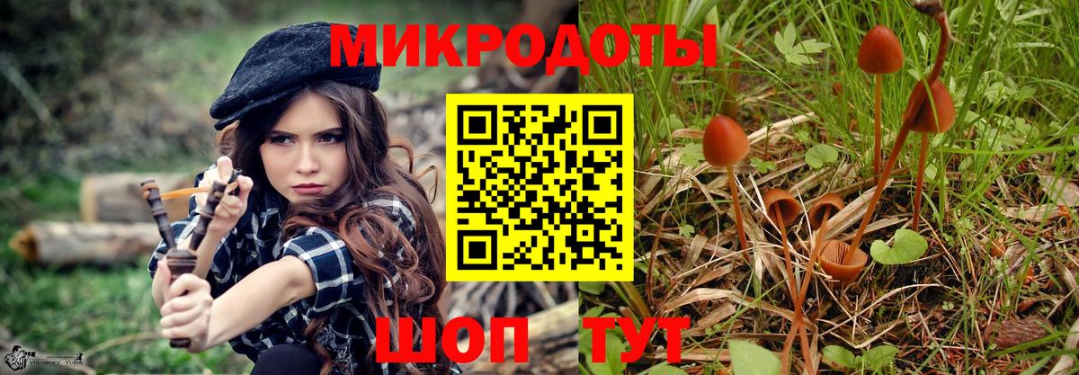 Абинск  Галлюциногенные грибы мухоморы  Псилоцибиновые грибы мухоморы  Вход с VPN 